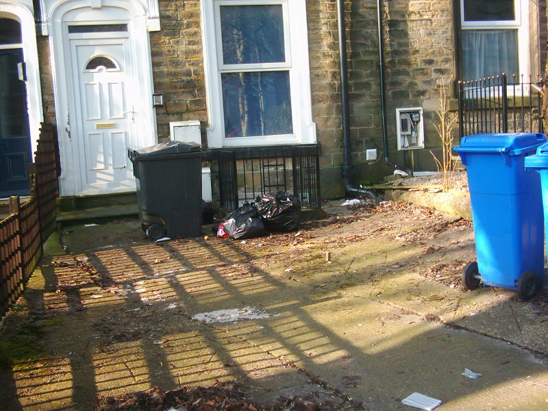 Litter
