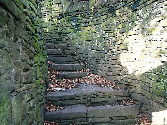 Steps Steps