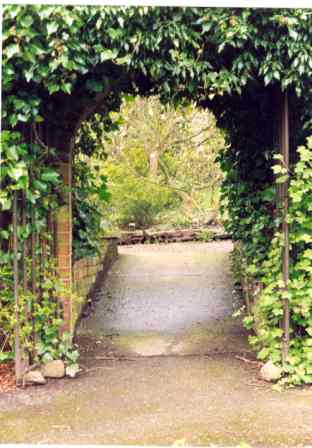 Arch from walled garden