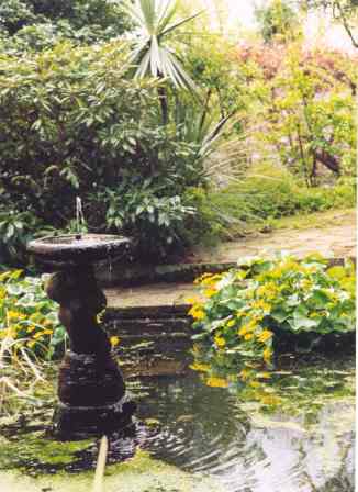 Pond statue