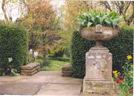 View to woodland garden